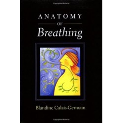 Anatomy of Breathing