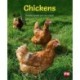 CHICKENS