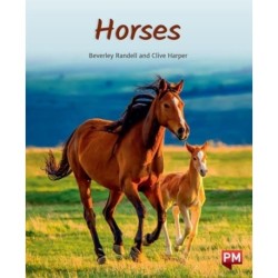 HORSES