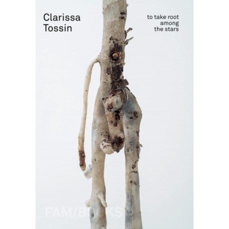 Clarissa Tossin: To Take Root among the Stars