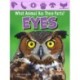 Eyes