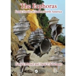 The Ecphoras: Iconic Fossils of Eastern North America