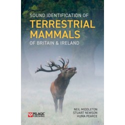 Sound Identification of Terrestrial Mammals of Britain & Ireland
