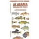 Alabama Freshwater Fishes: A Folding Guide to Native and Introduced Species