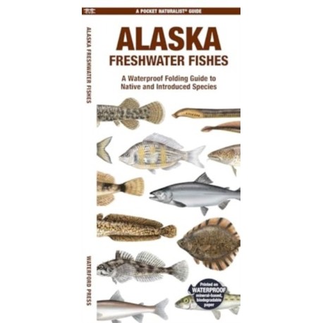 Alaska Freshwater Fishes: A Folding Guide to Native and Introduced Species