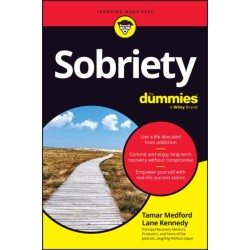 Sobriety For Dummies