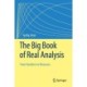 The Big Book of Real Analysis: From Numbers to Measures