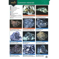 Guide to Common Minerals
