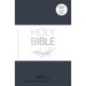 NRSVue Holy Bible: New Revised Standard Version Updated Edition: British Text in Soft-tone Flexiback Binding