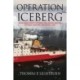 Operation Iceberg