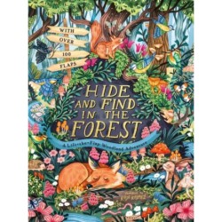 Hide and Find in the Forest: A Lift-the-Flap Woodland Adventure