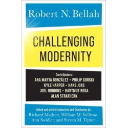 Challenging Modernity