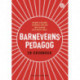 Barnevernspedagog : en grunnbok