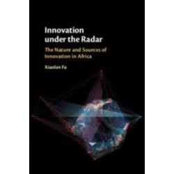 Innovation under the Radar: The Nature and Sources of Innovation in Africa