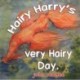 Hairy Harry's very Hairy Day