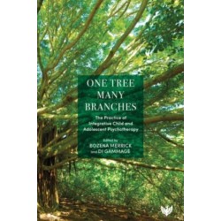 One Tree, Many Branches: The Practice of Integrative Child and Adolescent Psychotherapy