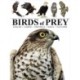 Birds of Prey