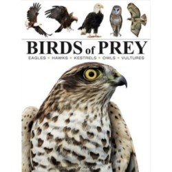 Birds of Prey