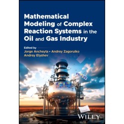 Mathematical Modeling of Complex Reaction Systems in the Oil and Gas Industry