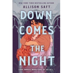 Down Comes the Night: A Novel