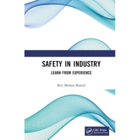 Safety in Industry: Learn from Experience