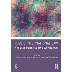 Public International Law: A Multi-Perspective Approach