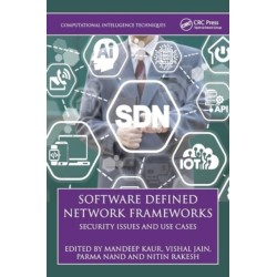 Software-Defined Network Frameworks: Security Issues and Use Cases