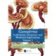 Ganoderma: Cultivation, Chemistry and Medicinal Applications, Volume 1
