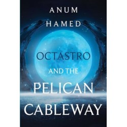 Octastro and the Pelican Cableway