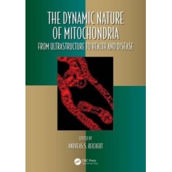The Dynamic Nature of Mitochondria: from Ultrastructure to Health and Disease