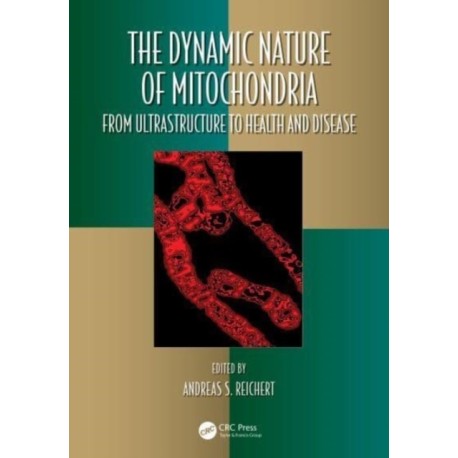 The Dynamic Nature of Mitochondria: from Ultrastructure to Health and Disease