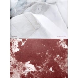 The Glacier is a Being