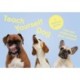 Teach Yourself Dog: A memory game