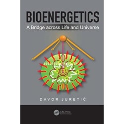 Bioenergetics: A Bridge across Life and Universe