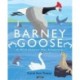Barney Goose: A Wild Atlantic Way Adventure