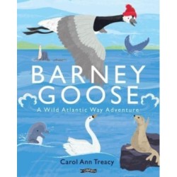 Barney Goose: A Wild Atlantic Way Adventure