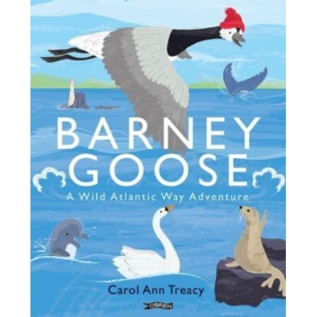 Barney Goose: A Wild Atlantic Way Adventure