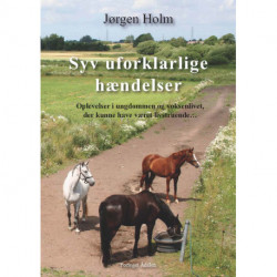 Syv uforklarlige hændelser