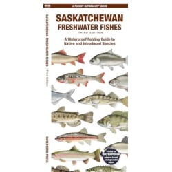 Saskatchewan Freshwater Fishes, 3rd Ed: A Folding Guide to Native and Introduced Species
