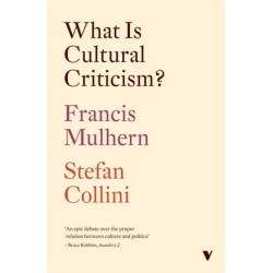 What Is Cultural Criticism?