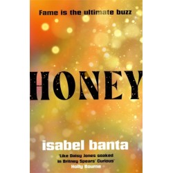 Honey: An addictive story of pop stardom