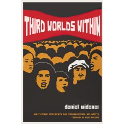 Third Worlds Within: Multiethnic Movements and Transnational Solidarity