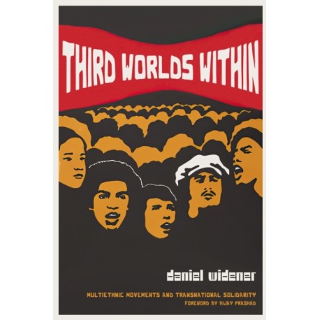 Third Worlds Within: Multiethnic Movements and Transnational Solidarity