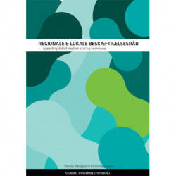 Regionale og lokale beskæftigelsesråd: i spændingsfeltet mellem stat og kommune