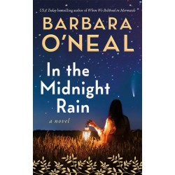 In the Midnight Rain: A Novel