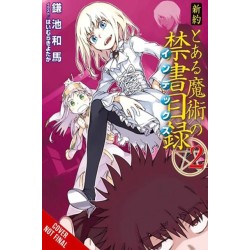 A Certain Magical Index NT, Vol. 2 (light novel)