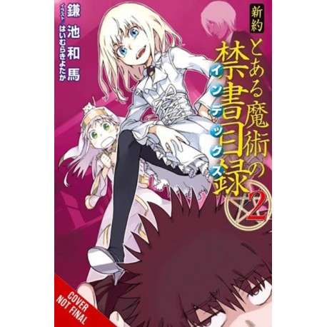 A Certain Magical Index NT, Vol. 2 (light novel)