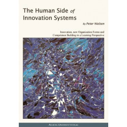 The Human Side of Innovation Systems: innovation, organizations and competence building in a learning perspective