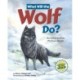 What Will the Wolf Do?: An Interactive Picture Book