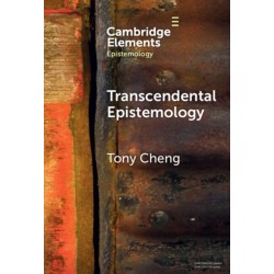 Transcendental Epistemology